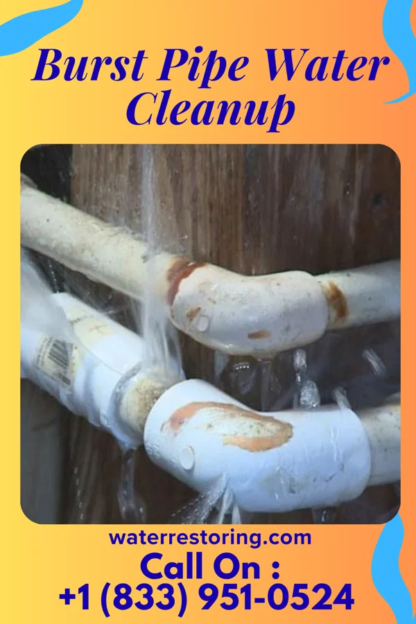Burst Pipe Water Cleanup in Heritage Village, CT