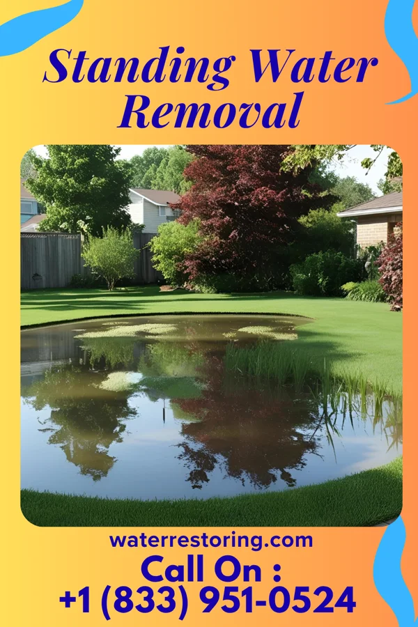 Standing Water Removal in Heritage Village, CT